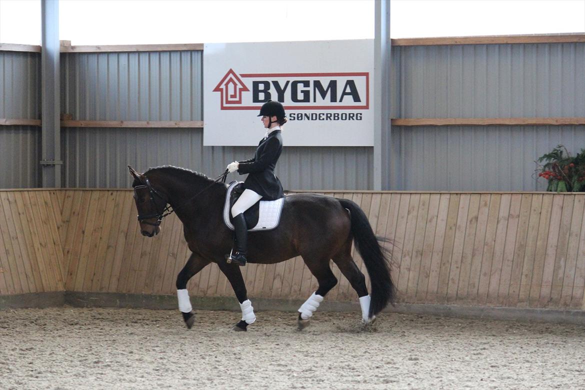 Oldenborg Taison billede 7