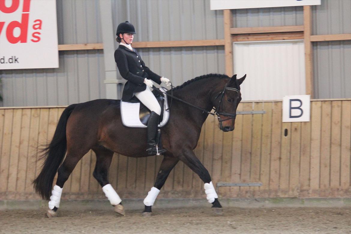 Oldenborg Taison billede 8