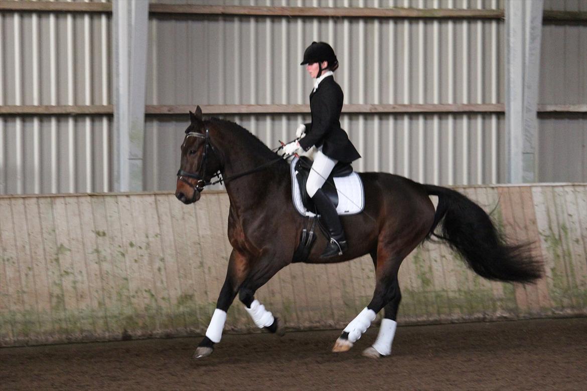 Oldenborg Taison billede 10