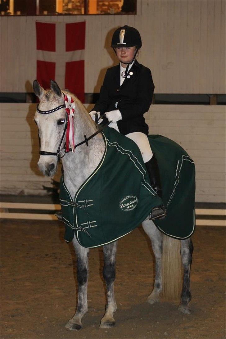 DSP o'hara billede 2