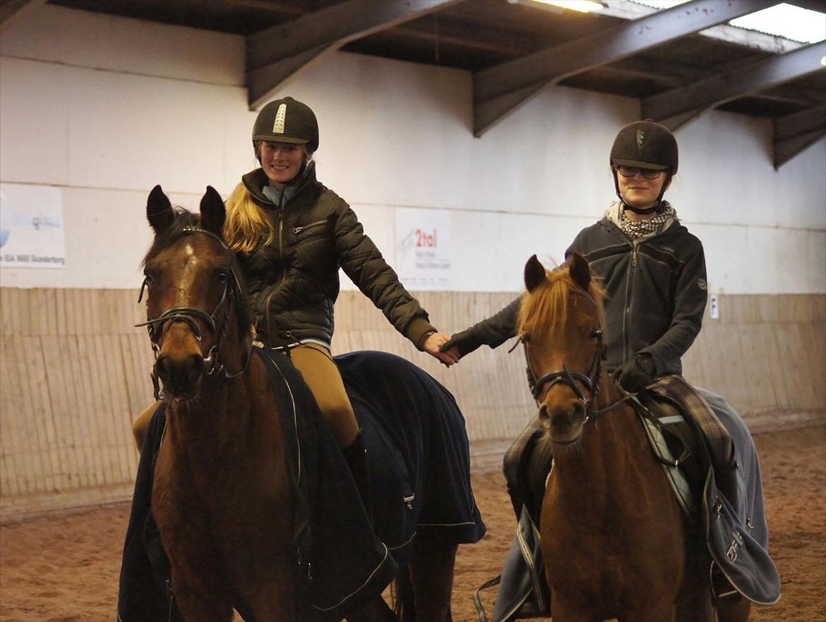 Tysk Sportspony Arking Jump.  - Bullerhesten. - Smiling is easy with you around.<3 billede 15