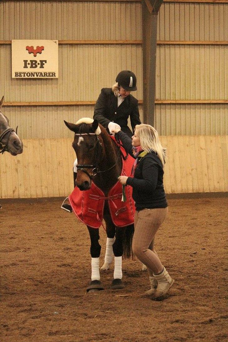 Dansk Varmblod Grankærs Come On ''PRINSESSEN''<3 - Præmie overrækkelse i % klasse hvor jeg red Lb1 til 62,6% og en 4 plads, vores føreste stævne har haft hend ei 4 måned:D<3 billede 14