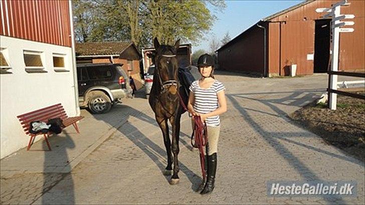 Dansk Varmblod Ejerbækgaards Tenor - Julie og Tenor efter end træning 2011 billede 12