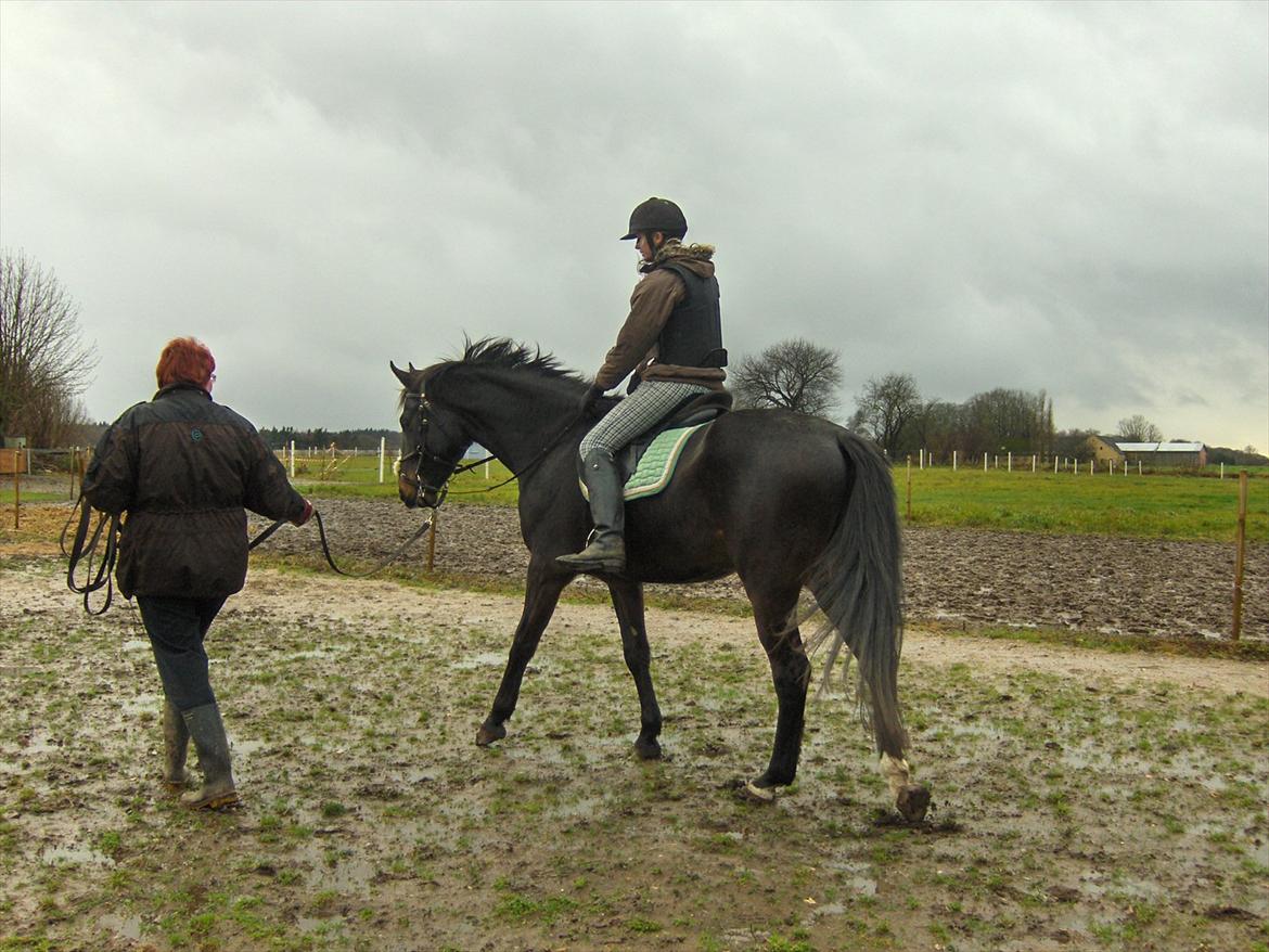 Oldenborg Rosenhavens Madok billede 6