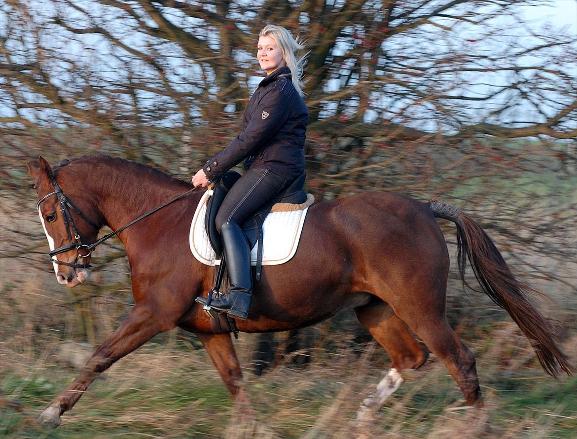 Hollandsk Sportspony  Destiny † R.I.P † - Dejlige prinsesse pony sidst i November 2011. Foto:Ditte
Min sidste ridetur på hende :(

Elsker dig <3 billede 20
