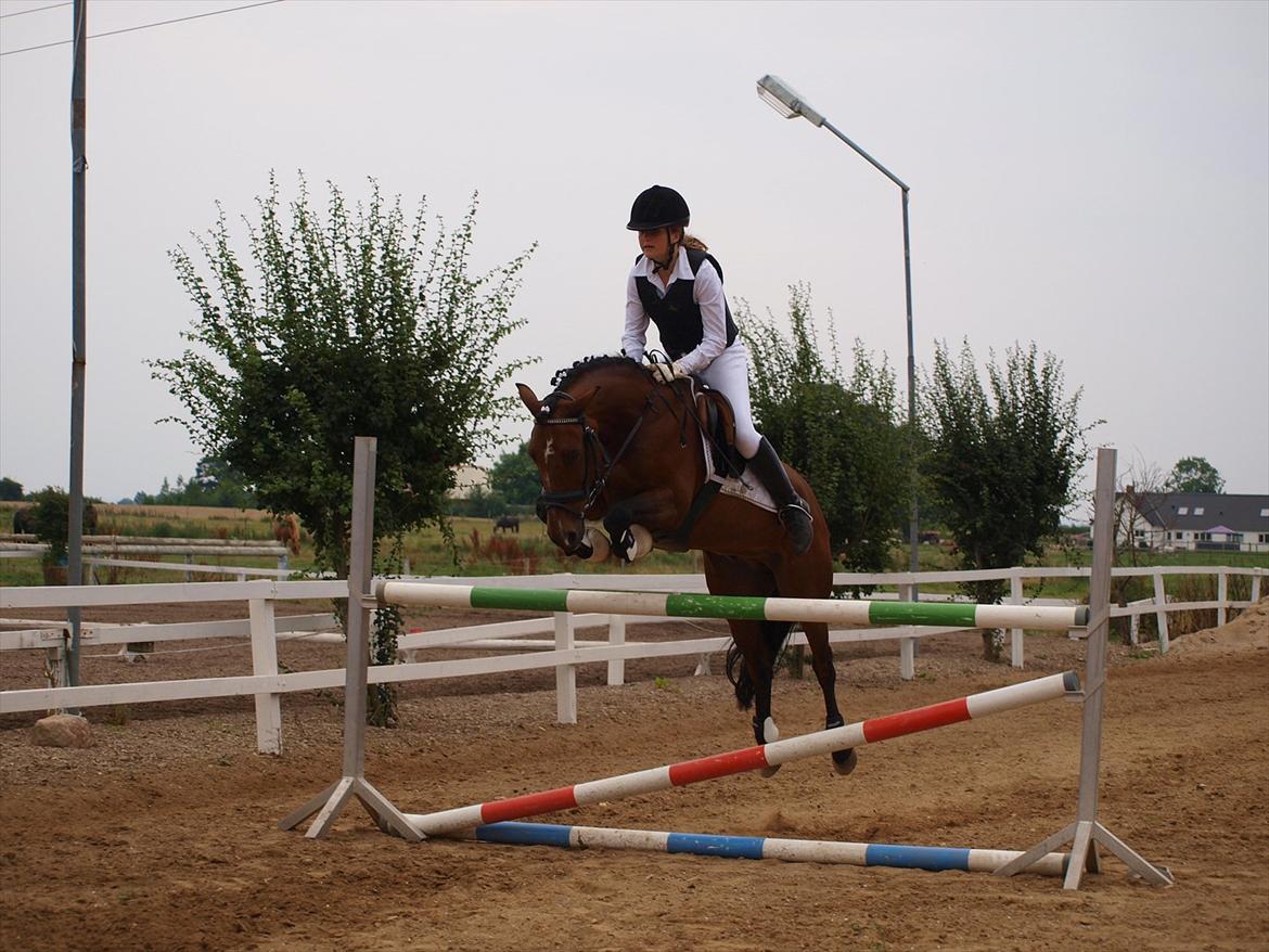 Anden særlig race Fighter (solgt) ;/ - Velkommen til Fighter's profil! (:
Vindere af Højdespring (110 cm)
Foto: Kusine billede 1