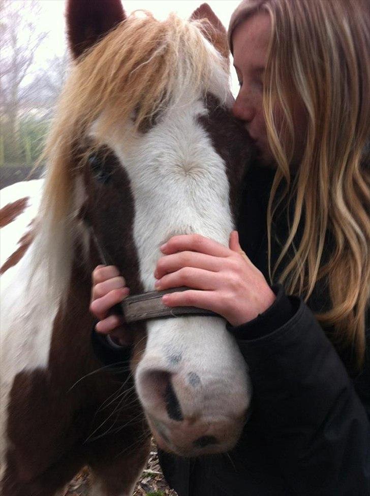 Pinto Araber Düchess - Uff du er bare fantastisk!♥
Foto: Frederikke tror jeg nok? dx
 billede 4