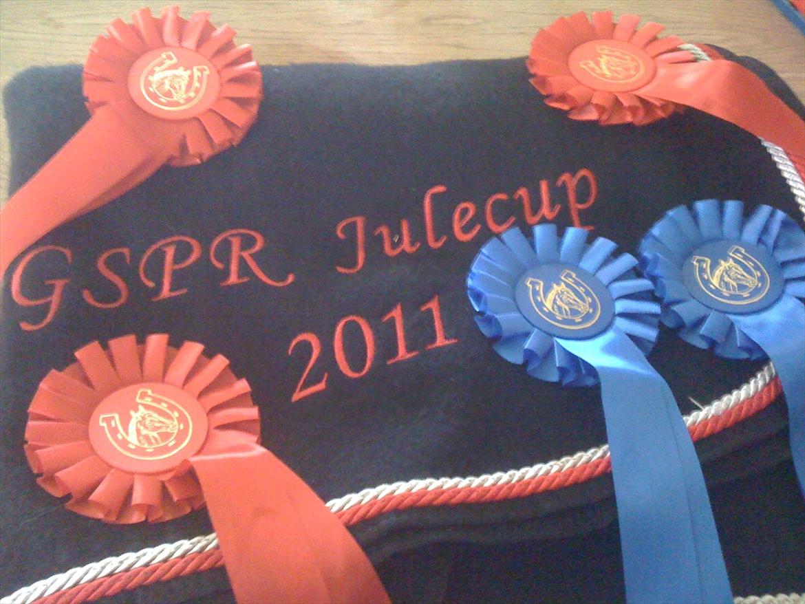 Dansk Varmblod Leasy - Leasy og jeg vandt julecuppen i GSPR d. 3-4/12-11. 
Dette er høsten fra den fantastiske weekend. billede 17