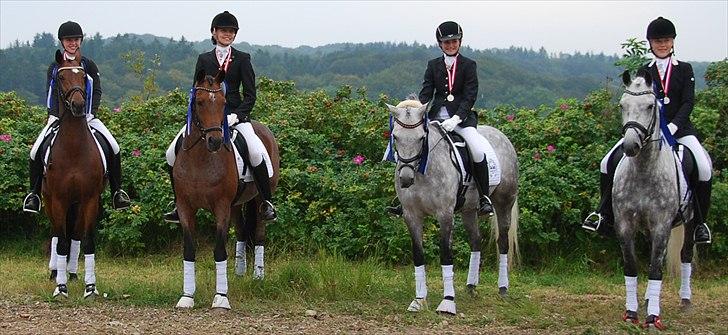 DSP MÅLUND'S MINI-MAJ - Sølv til DM-Hold 2011 billede 6