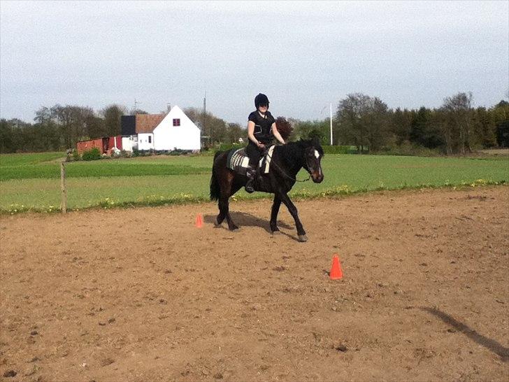 Connemara Design billede 16