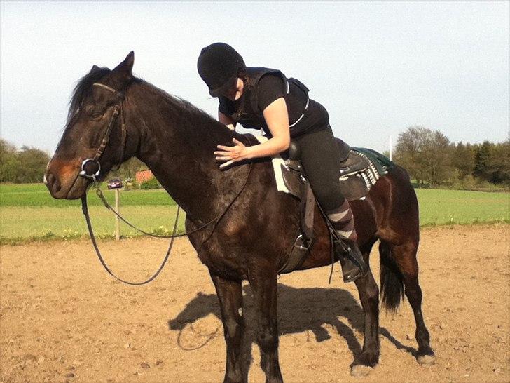 Connemara Design billede 17