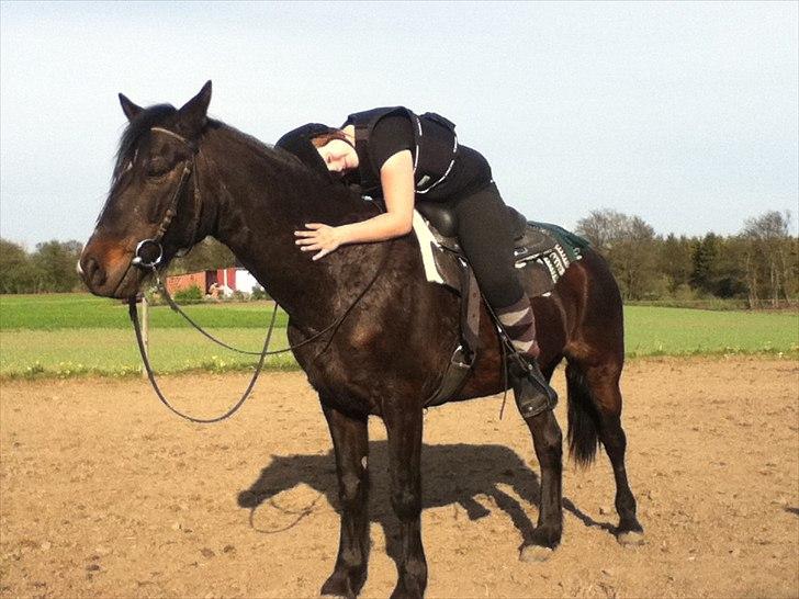 Connemara Design billede 18