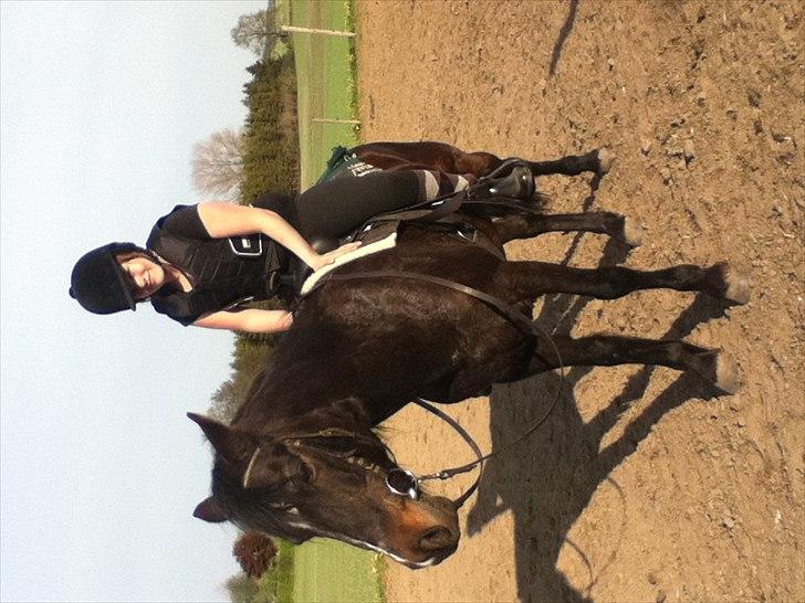 Connemara Design billede 19