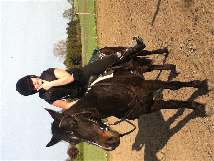 Connemara Design billede 20