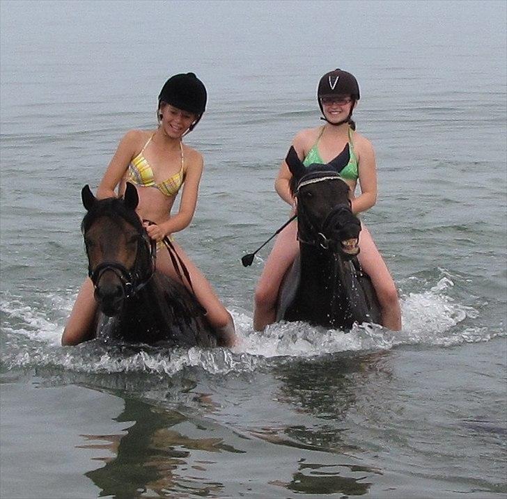 New Forest Hamborgs dahlia - En tur i vesterhavet ved spidsbjerg strand 2009.  billede 14