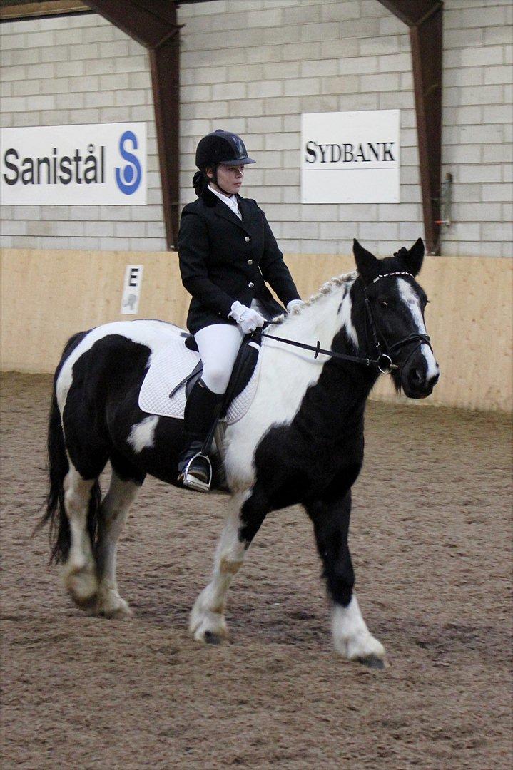 Tinker Nova billede 19