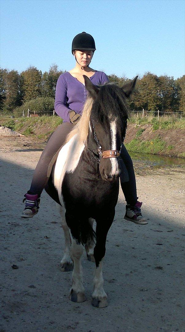 Tinker Nova billede 2