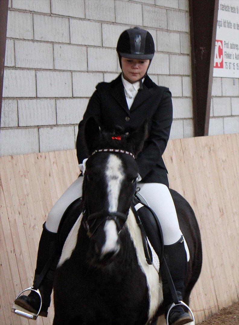 Tinker Nova billede 1