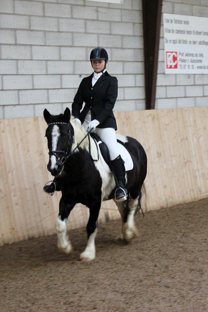 Tinker Nova billede 20