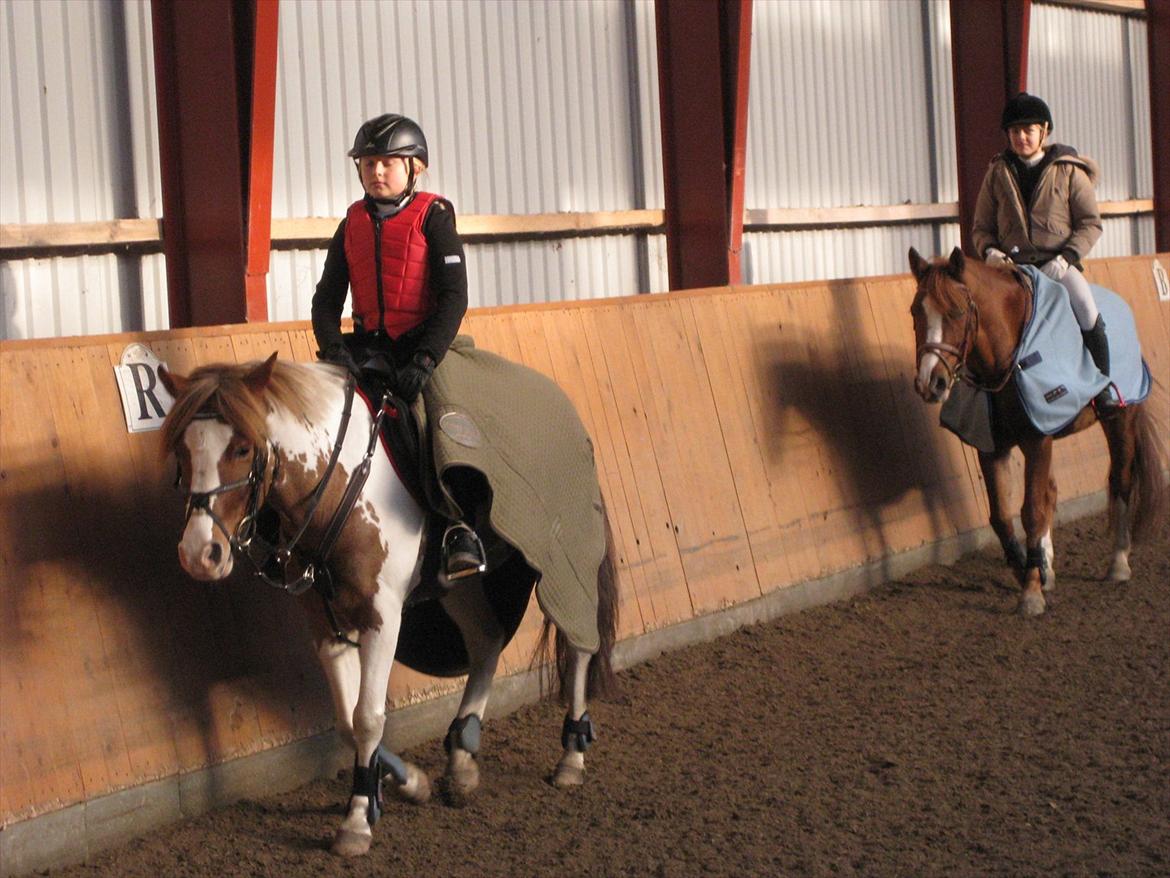 Anden særlig race Thunder boy - Mig og Thunder & Fanny og Pinocchio..<3 :* billede 17