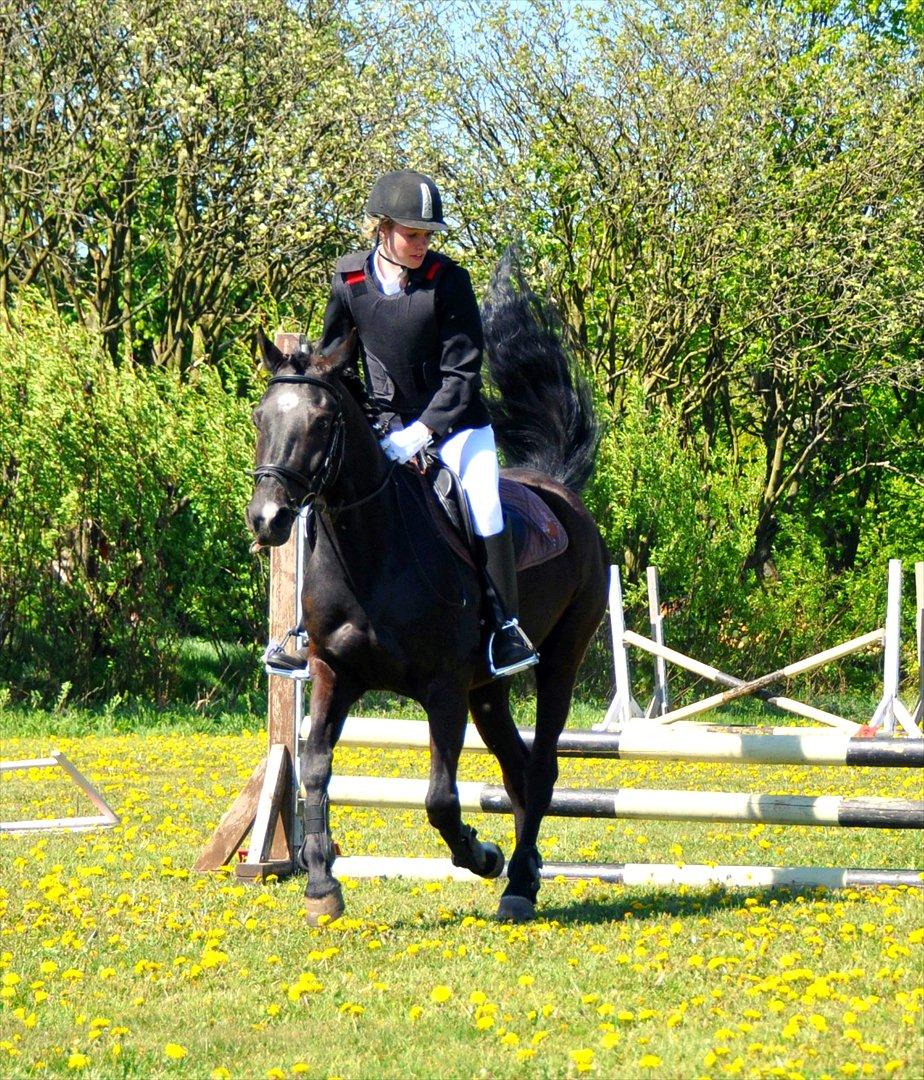 New Forest montana - Tak for kigget! :-) Håber i nød det! :-) billede 20