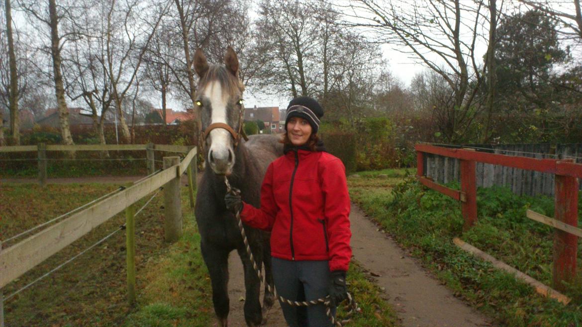 Anden særlig race Østermarkens Chassie (SOLGT) billede 21