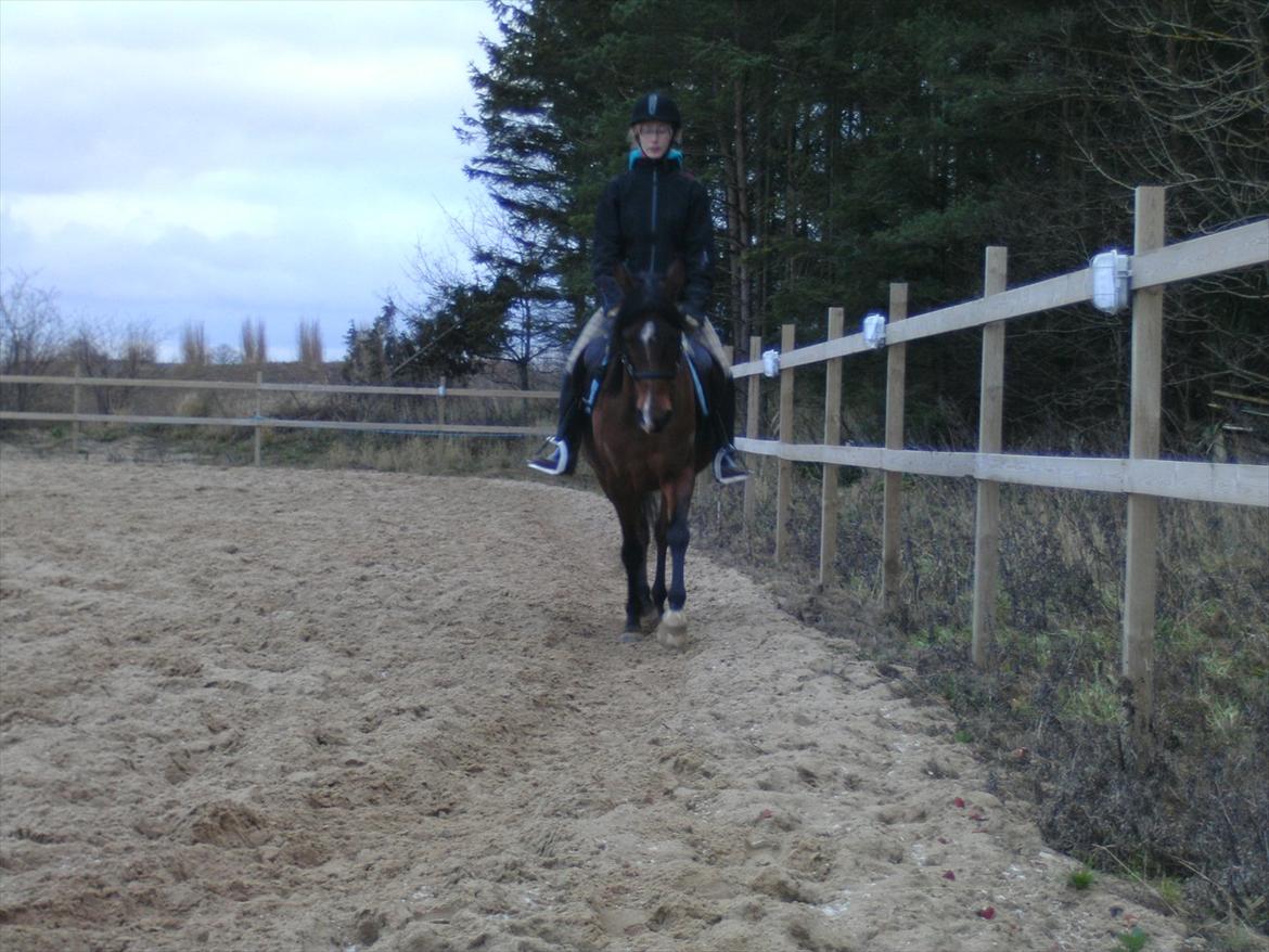 Anden særlig race lady billede 10