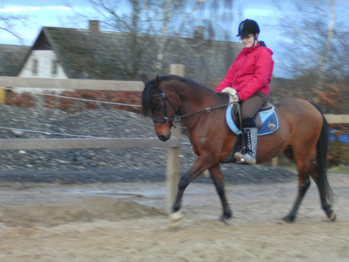 Anden særlig race lady billede 9