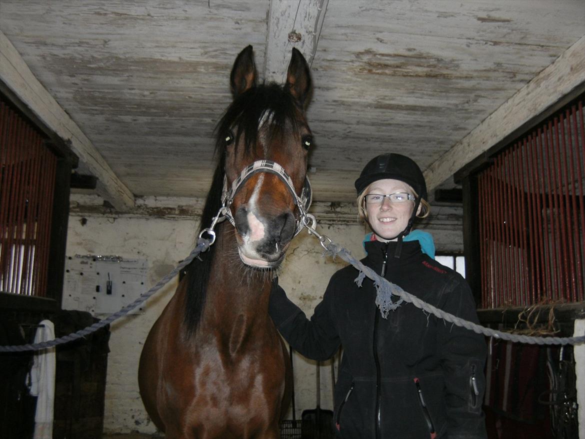 Anden særlig race lady billede 12