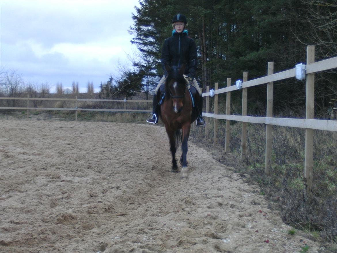 Anden særlig race lady billede 14