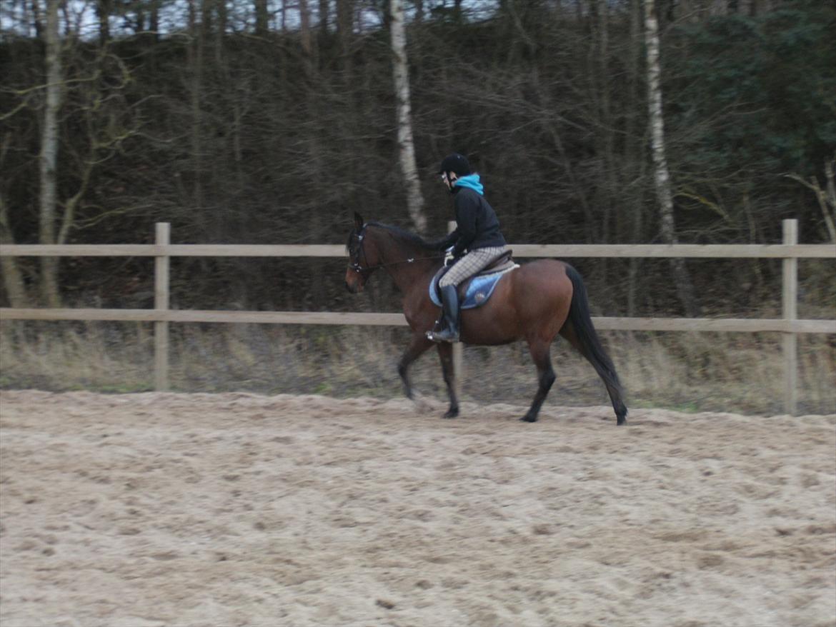 Anden særlig race lady billede 7