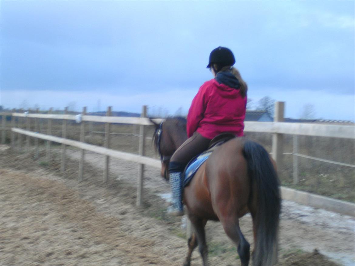 Anden særlig race lady billede 17