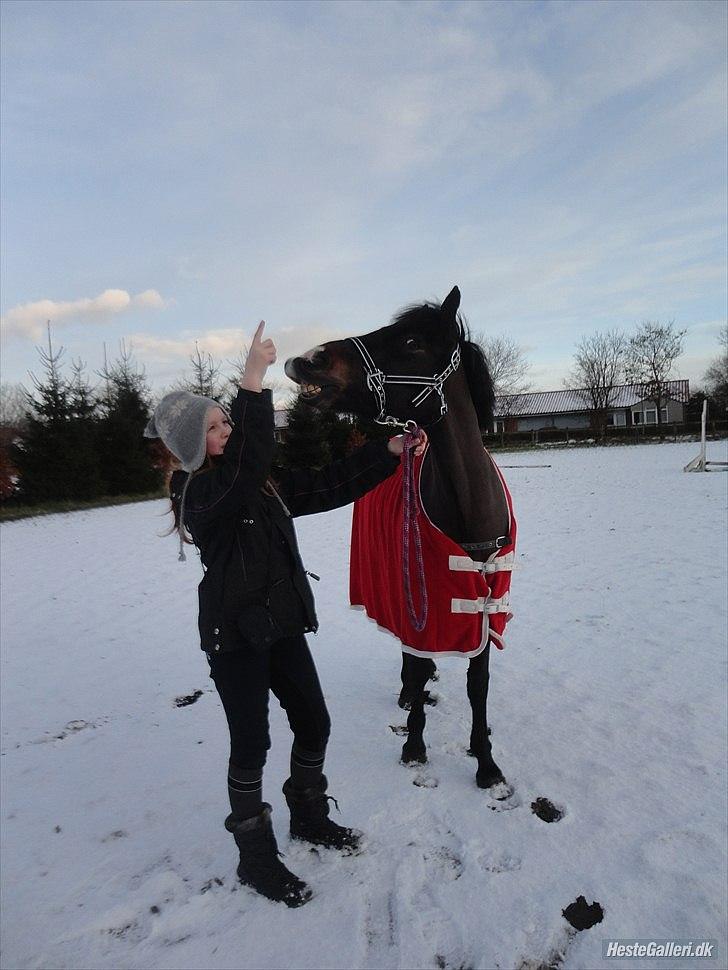 Anden særlig race Calypso - Sarah & Calle udenfor i sne <3  billede 12