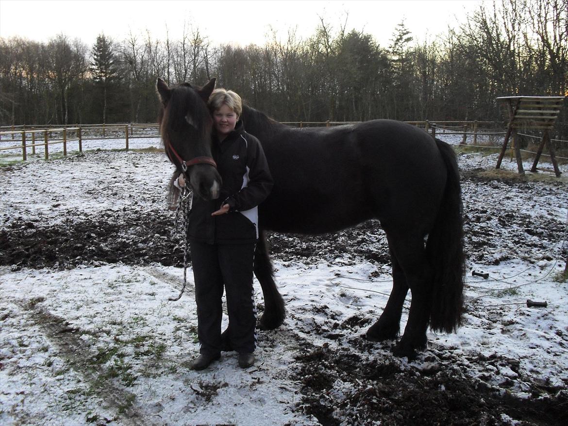 Frieser / Haflinger -  Manzana <3 elsket og savnet <3 - mig og Manzana ude i kulden..... billede 2