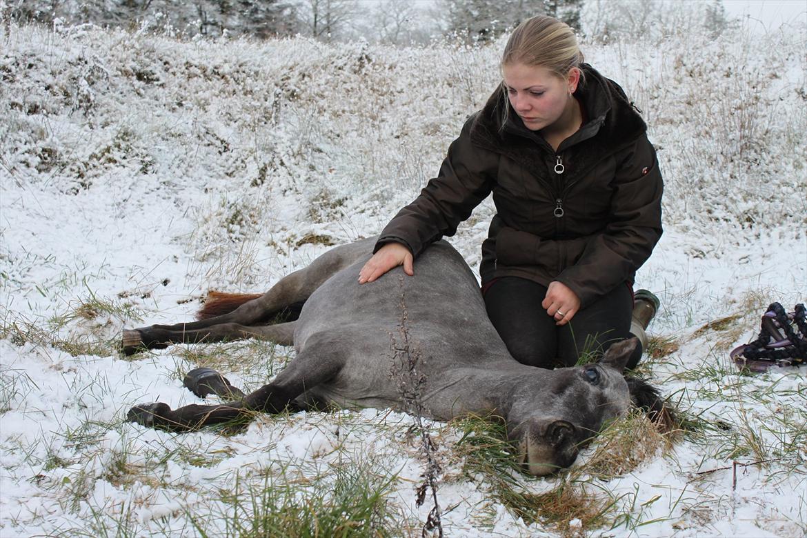 Dansk Miniature Minibo's Nektarin (Nelly) - Nelly er blevet himmerhest. R.I.P. min lille skat. 6/12-2011 billede 20