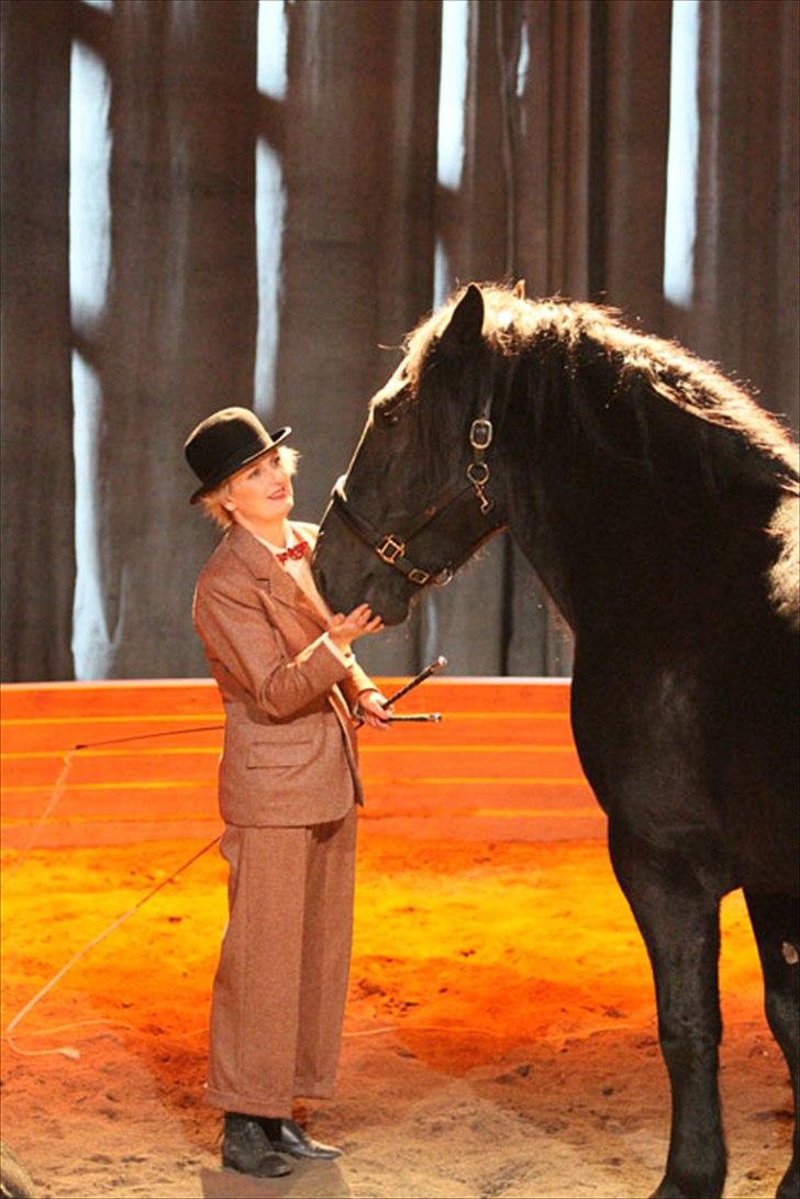 Noriker Duglass  (Zeppelin Schnaulitz) *Dugge* billede 12