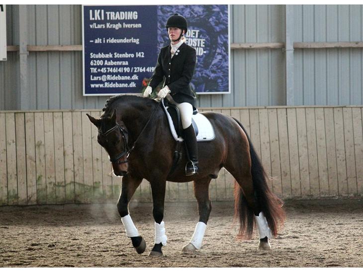 {{currentPhoto.altText}} billede {{currentPhoto.number}}