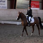 Anden særlig race Agazi <3