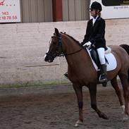 Anden særlig race Agazi <3