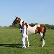 Pinto Dornings Kikinyo