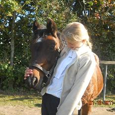 Anden særlig race Flicka