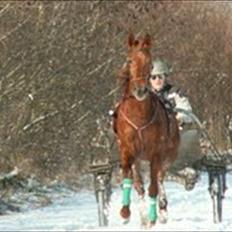 Traver Iowa Frontline