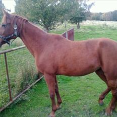 Traver Iowa Frontline