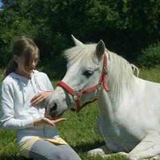 Anden særlig race Dunja