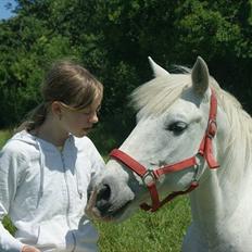 Anden særlig race Dunja