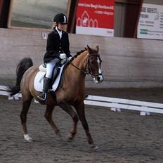 Anden særlig race Agazi <3