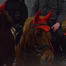 Anden særlig race Tequila