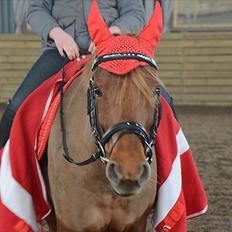 Anden særlig race Tequila