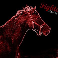 Anden særlig race Fighter