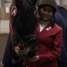 Holstener Landuc B I Duggi I